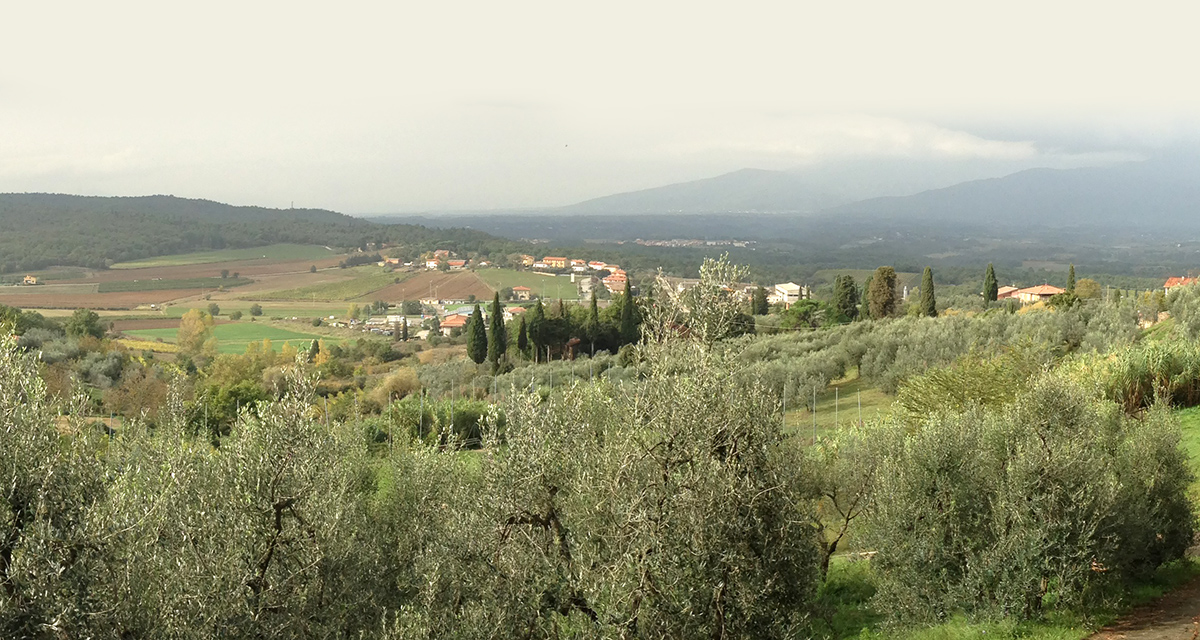 (English) La pensionada: Bed and breakfast in Tuscany